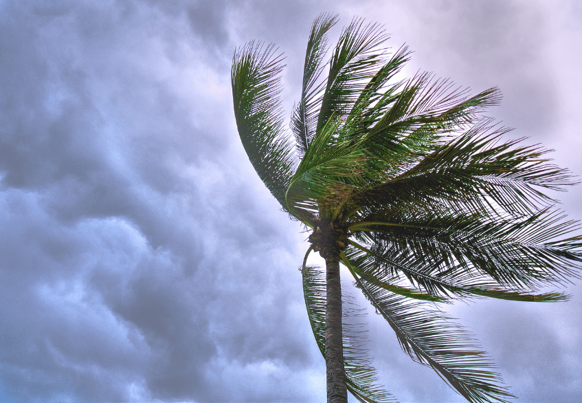 Doing what you can to weather the storm …
